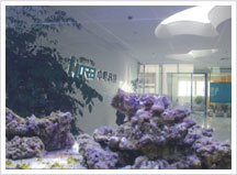 中明科技辦公環(huán)境展示